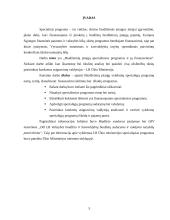 Biudžetinių įstaigų specialiosios programos ir jų finansavimas 3 puslapis