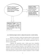 Biudžetinių įstaigų specialiosios programos ir jų finansavimas 6 puslapis