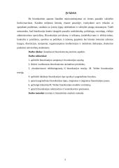 Biurokratizmas 2 puslapis