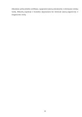 Biurokratizmas 19 puslapis