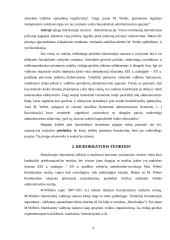 Biurokratizmas 4 puslapis