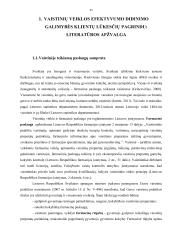 Vaistinės veiklos efektyvumo didinimas klientų lūkesčių tyrimo pagrindu  11 puslapis