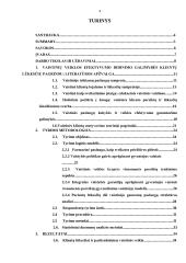 Vaistinės veiklos efektyvumo didinimas klientų lūkesčių tyrimo pagrindu  3 puslapis