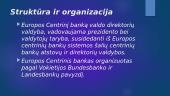Europos Centrinis Bankas ir infliacija 5 puslapis