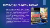 Europos Centrinis Bankas ir infliacija 6 puslapis