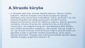 Antanas Strazdas ir jo poezija 4 puslapis