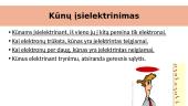 Įelektrinti kūnai ir jų sąveika. Elektrinis laukas 7 puslapis