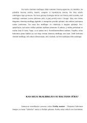 Chemija buityje 13 puslapis