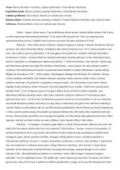 Riterių literatūros vaizdiniai, siužetai klasikinėje bei šiuolaikinėje literatūroje 5 puslapis