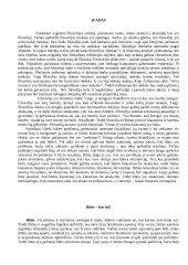 Būties problema skirtingų filosofų akimis 3 puslapis