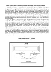 Būties problema skirtingų filosofų akimis 7 puslapis