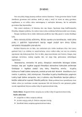 Būties samprata filosofijoje 2 puslapis