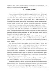 Būties samprata filosofijoje 4 puslapis