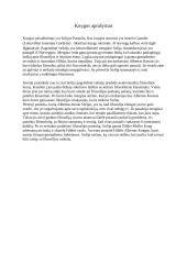 Knyga "Sofijos pasaulis"