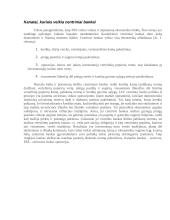 Centrinio banko (CB) veiklos principai 5 puslapis