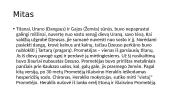 Prometėjo mito esmė 4 puslapis