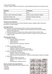 CNS PNS konspektas 13 puslapis