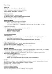 CNS PNS konspektas 14 puslapis