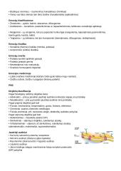 CNS PNS konspektas 15 puslapis