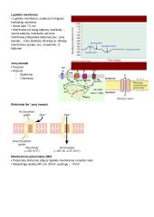 CNS PNS konspektas 16 puslapis