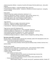 CNS PNS konspektas 4 puslapis