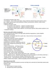 CNS PNS konspektas 5 puslapis