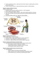 CNS PNS konspektas 7 puslapis