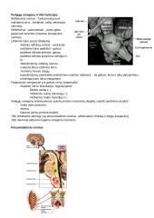 CNS PNS konspektas 8 puslapis