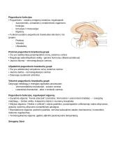 CNS PNS konspektas 9 puslapis