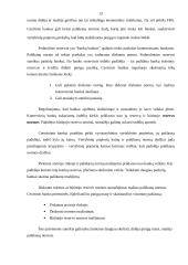 Centrinio banko veikla 13 puslapis
