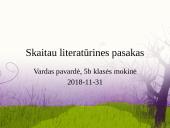 "Dingusios knygos mįslė"