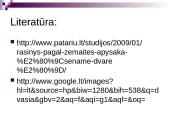 Šatrijos Ragana vaizduoja asmenybę brandinančias žmogaus patirtis 14 puslapis