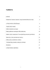 Cikliniai kodai, jų realizavimas, efektyvumo įvertinimas 2 puslapis