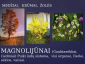 Apie augalų karalystę 12 puslapis