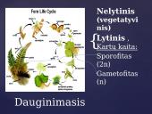 Apie augalų karalystę 6 puslapis