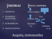 Apie augalų karalystę 7 puslapis