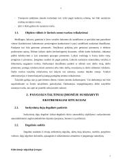 Civilinė ir darbo sauga įmonėje 3 puslapis