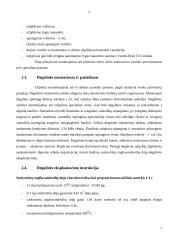 Civilinė ir darbo sauga įmonėje 4 puslapis