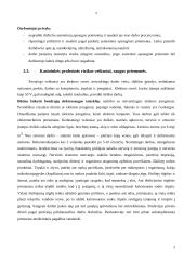 Civilinė ir darbo sauga įmonėje 9 puslapis