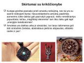 Pirmykštė religija - magija   13 puslapis