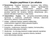 Pirmykštė religija - magija   16 puslapis