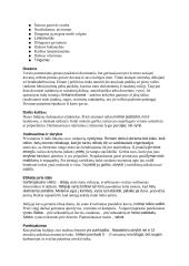 Protokolas ir etiketas. Italija 3 puslapis