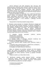 Akcinių bendrovių (AB) kūrimas 3 puslapis
