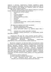 Akcinių bendrovių (AB) kūrimas 6 puslapis