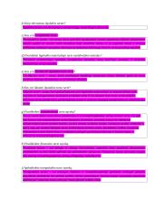 Įvadas į apskaitos profesiją 11 puslapis