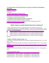 Įvadas į apskaitos profesiją 19 puslapis