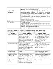 Įvadas į apskaitos profesiją 5 puslapis