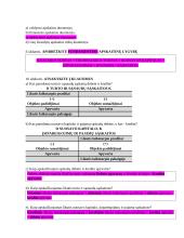 Įvadas į apskaitos profesiją 9 puslapis