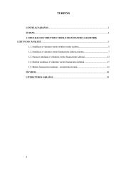 Smulkaus ir vidutinio verslo finansavimo galimybės Lietuvoje  2 puslapis