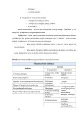 Smulkaus ir vidutinio verslo finansavimo galimybės Lietuvoje  11 puslapis